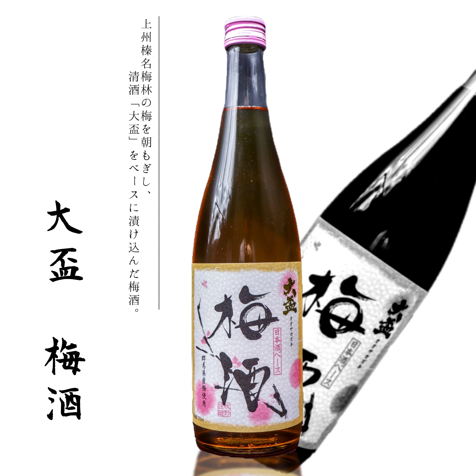 大盃 梅酒 720ml | 草津温泉 ホテル一井 公式通販